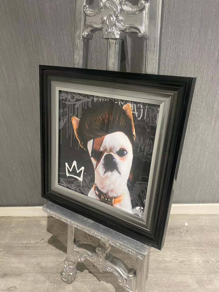 IC277 David Bowie Dog